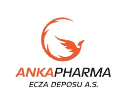 Argekip Bilişim anka