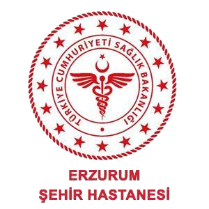 Argekip Bilişim erzurum sehir hastanesi